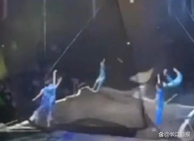 蹦床表演时演员被“弹(dàn)飞”？上海马戏城回应_黑料正能量