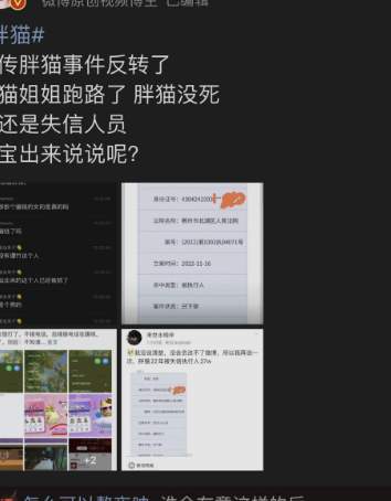 “我用生命担保，胖猫没死，事件反转了！”_黑料正能量