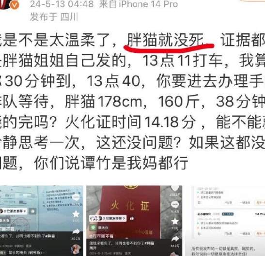 “我用生命担保，胖猫没死，事件反转了！”_黑料正能量