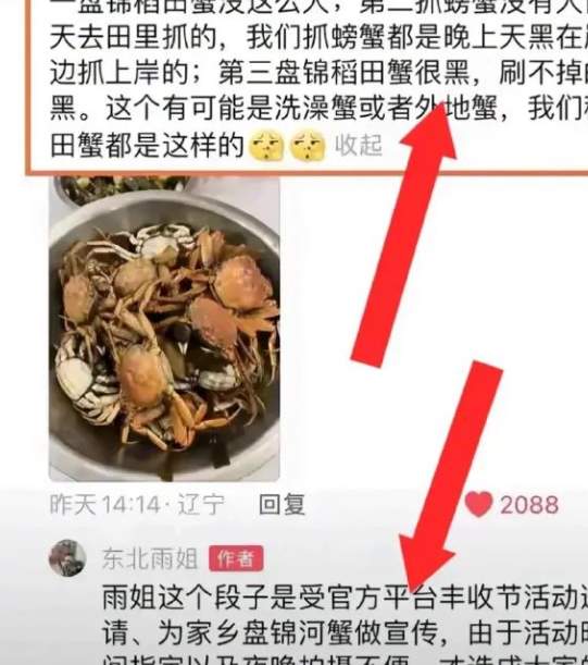 真性情还是有猫腻？2000万粉丝的“东北豪爽大姐”疑似打人，翻车了..._黑料正能量