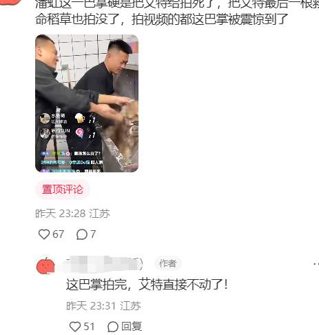 伤人恶犬艾特离世之后，全网络的圣母突然开始爱它..._黑料正能量