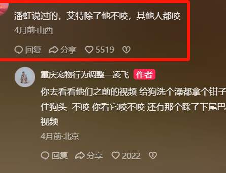 伤人恶犬艾特离世之后，全网络的圣母突然开始爱它..._黑料正能量